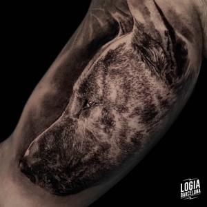 tatuaje_brazo_pitbull_logiabarcelona_mario_guerrero